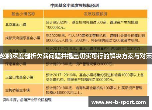 赵鹏深度剖析欠薪问题并提出切实可行的解决方案与对策