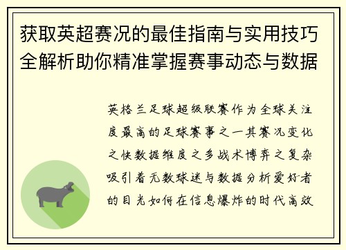 获取英超赛况的最佳指南与实用技巧全解析助你精准掌握赛事动态与数据分析